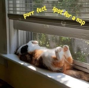 Meet your Posher, Jerome